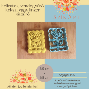 Benedekné a nyúl kislány feliratos mintázós sütikiszúró